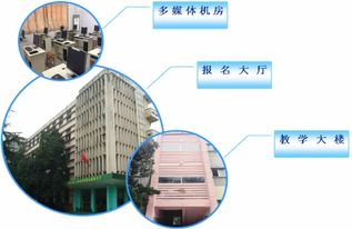 电子商务专业该不该报