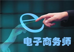 电子商务上什么专业本科
