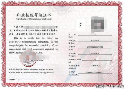 报电子商务专业有何条件