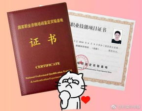 电子商务专业的可以报考的证书